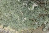 Green Prehnite Crystal Cluster on Rock - Morocco #127505-2